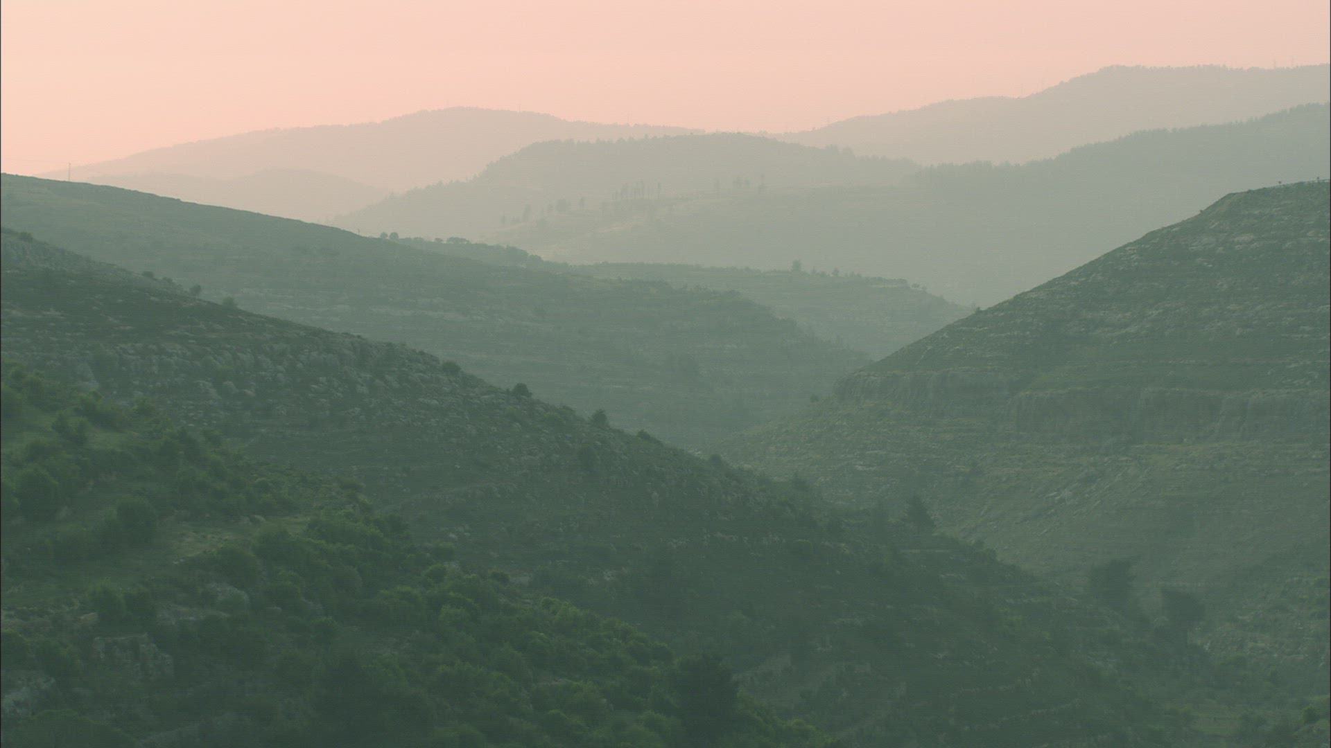 620820261 / Terraced Field / Hill / Jerusalem