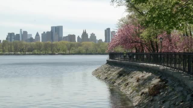 Central Park &amp; Jacqueline Kennedy Onassis Reservoir