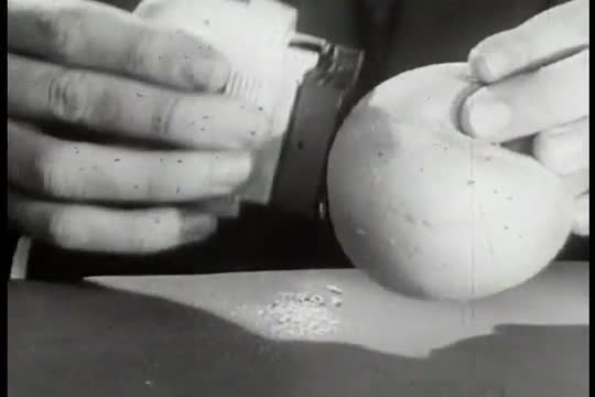 Remington Razor commercial