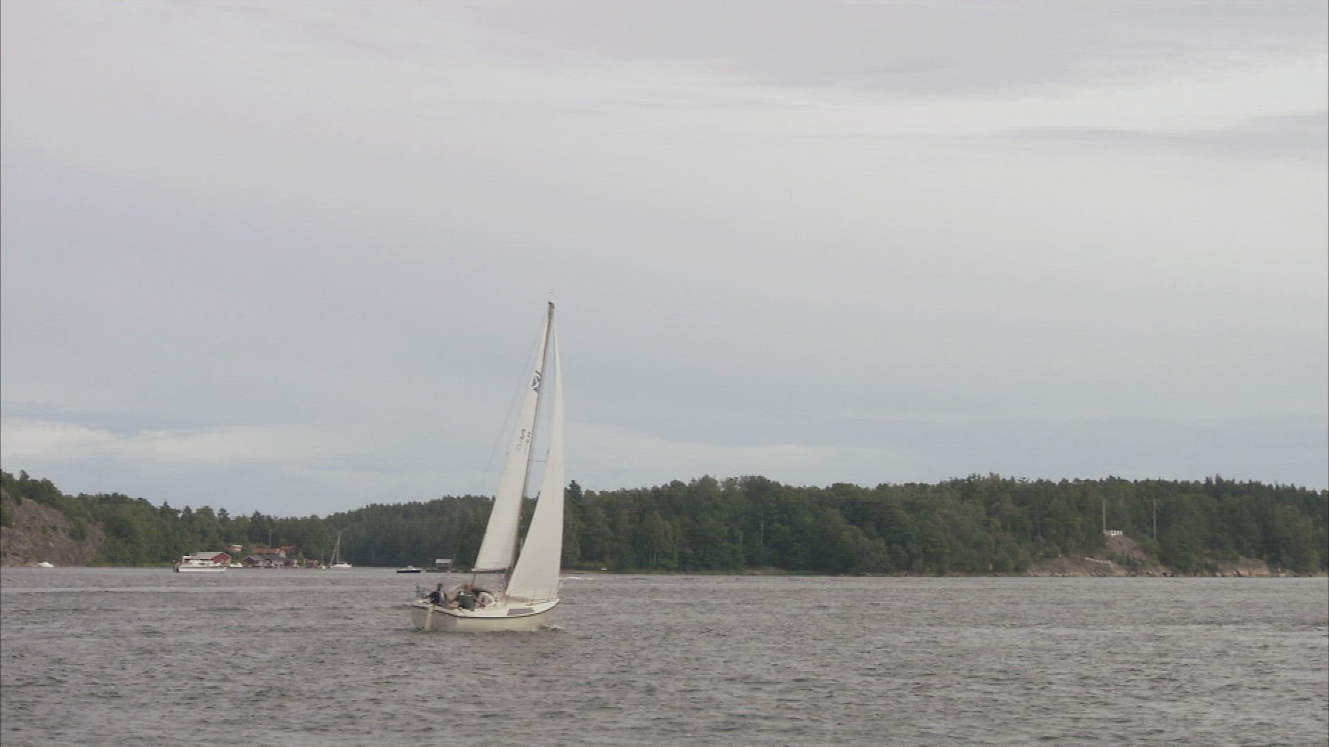 173794280 / Excursion Ship / Sailing / Sweden