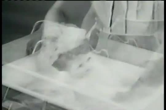 The Betsy Wetsy doll allows any little girl to be a mommy during the 1950s