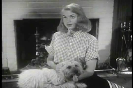 The importance of parents and family