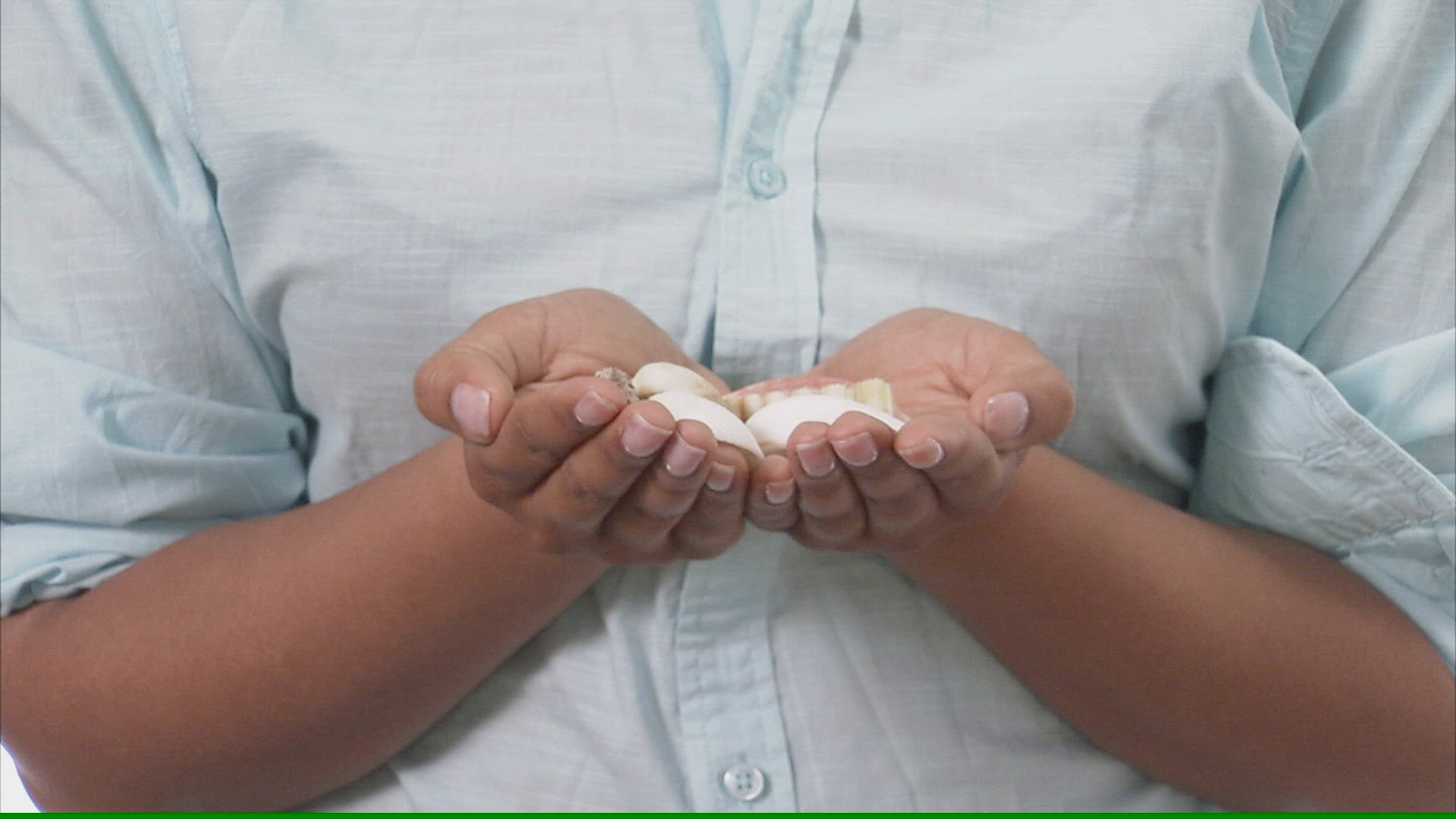 649777122 / People / Bivalve / Showing
