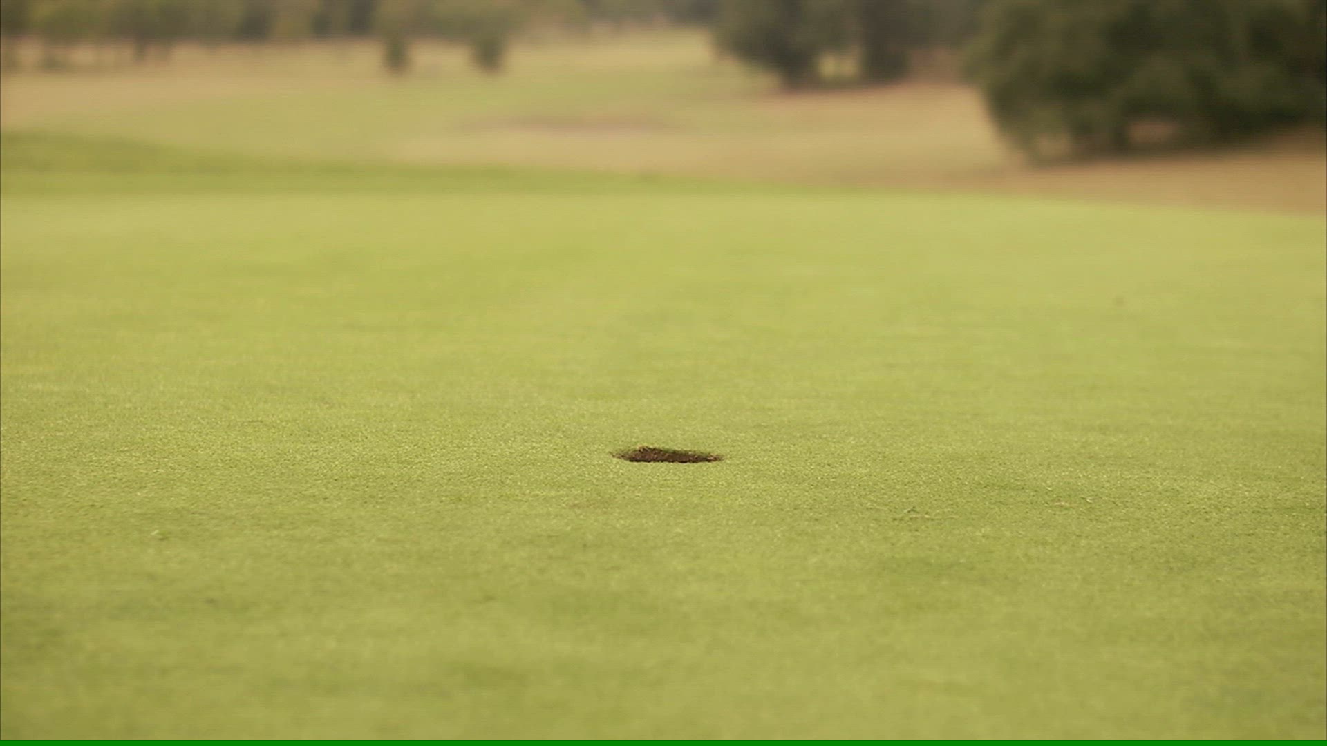 923481838 / Golf Ball / Golf / Sweden