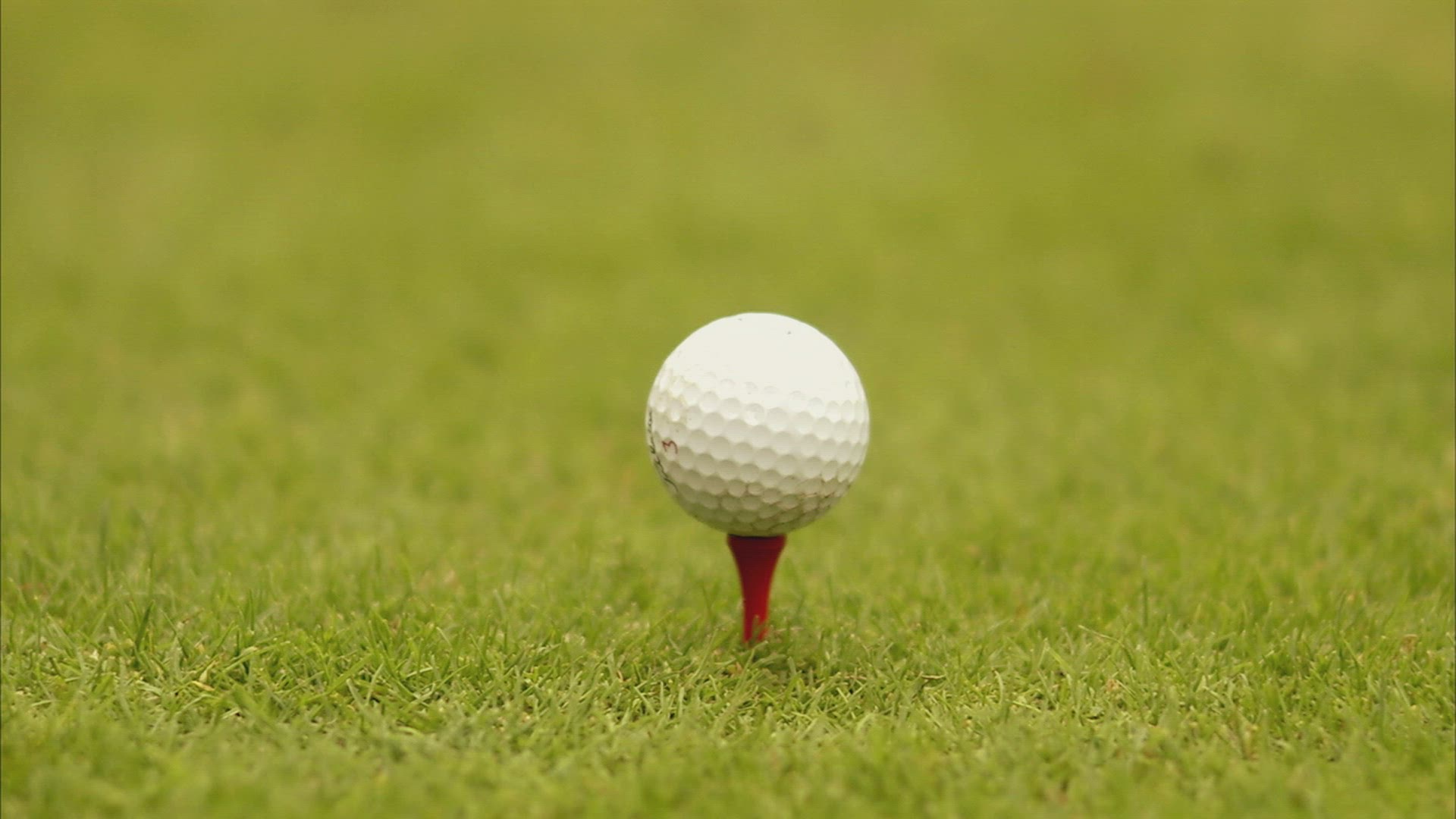 478720745 / Golf Ball / Tee / Sweden
