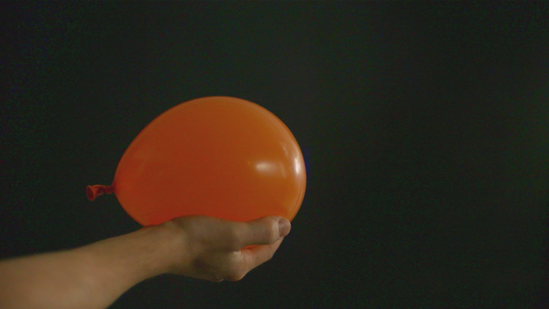 311929481 / Adult / Balloon / Water Drop