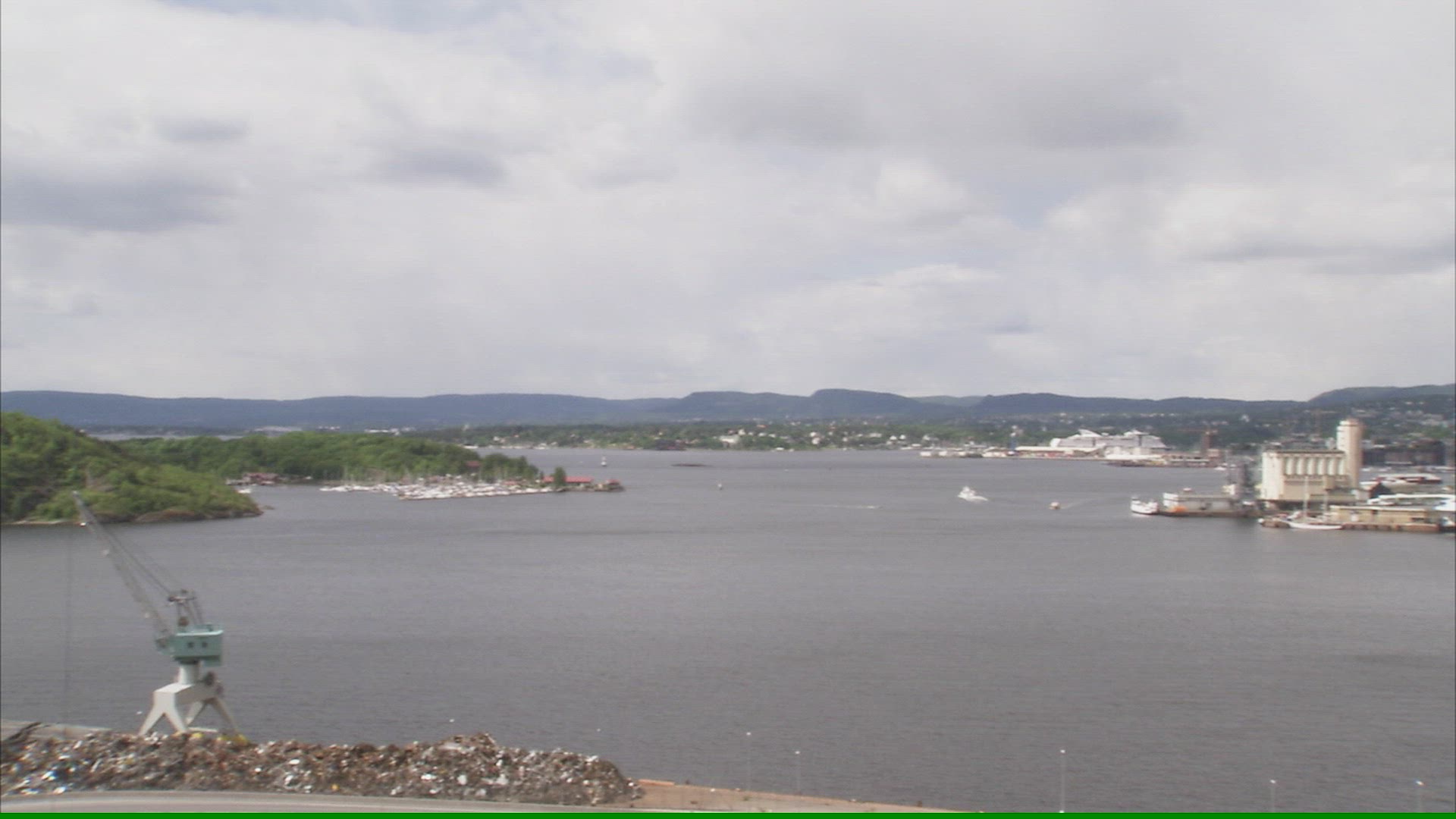723314251 / Bird / Fjord / Oslo
