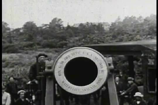 A cannon looks into the camera.