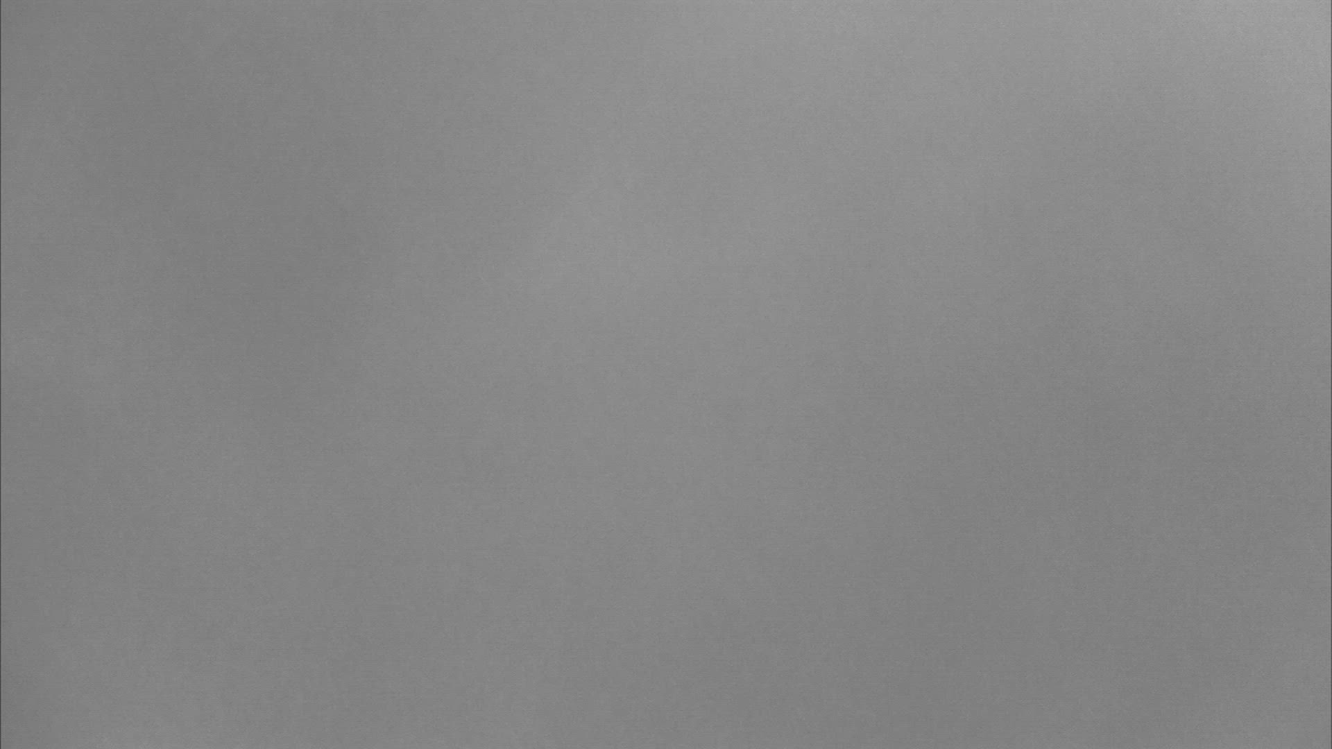 713029111 / Glaring / Leaf / Simplicity