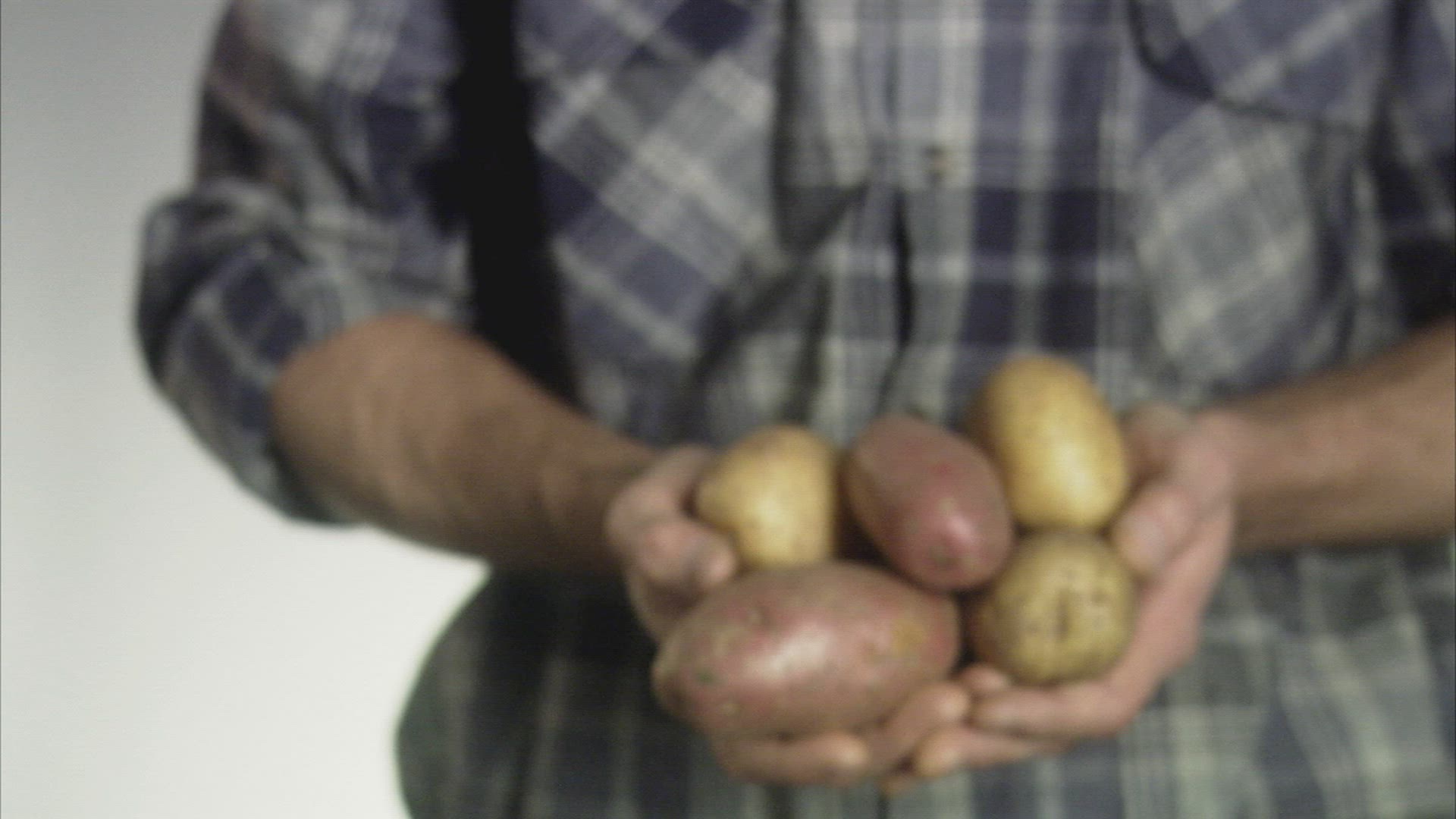 906522263 / Scandinavian Ethnicity / Produce Grocer / Shirt