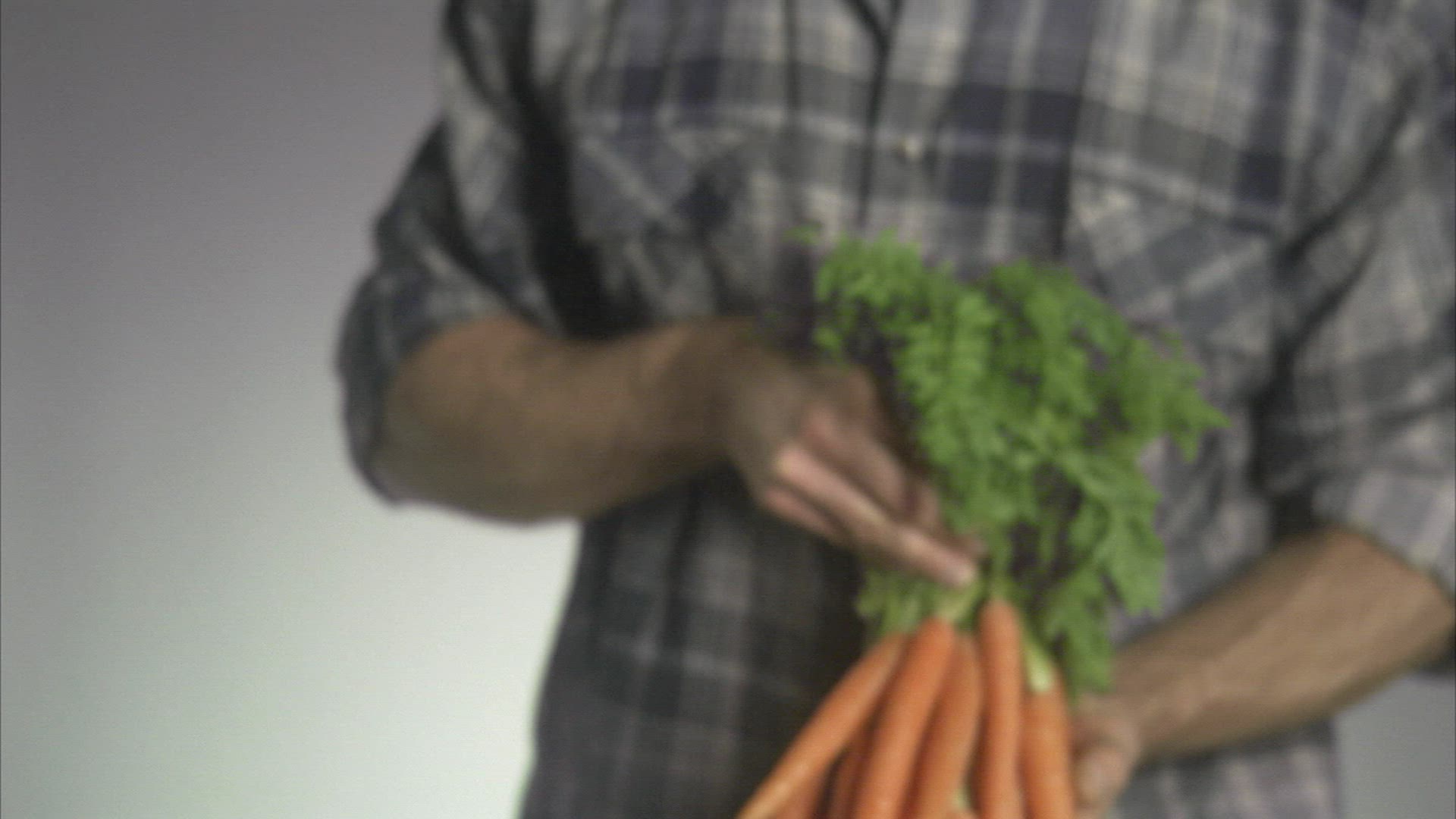 845083989 / People / Carrot / Holding