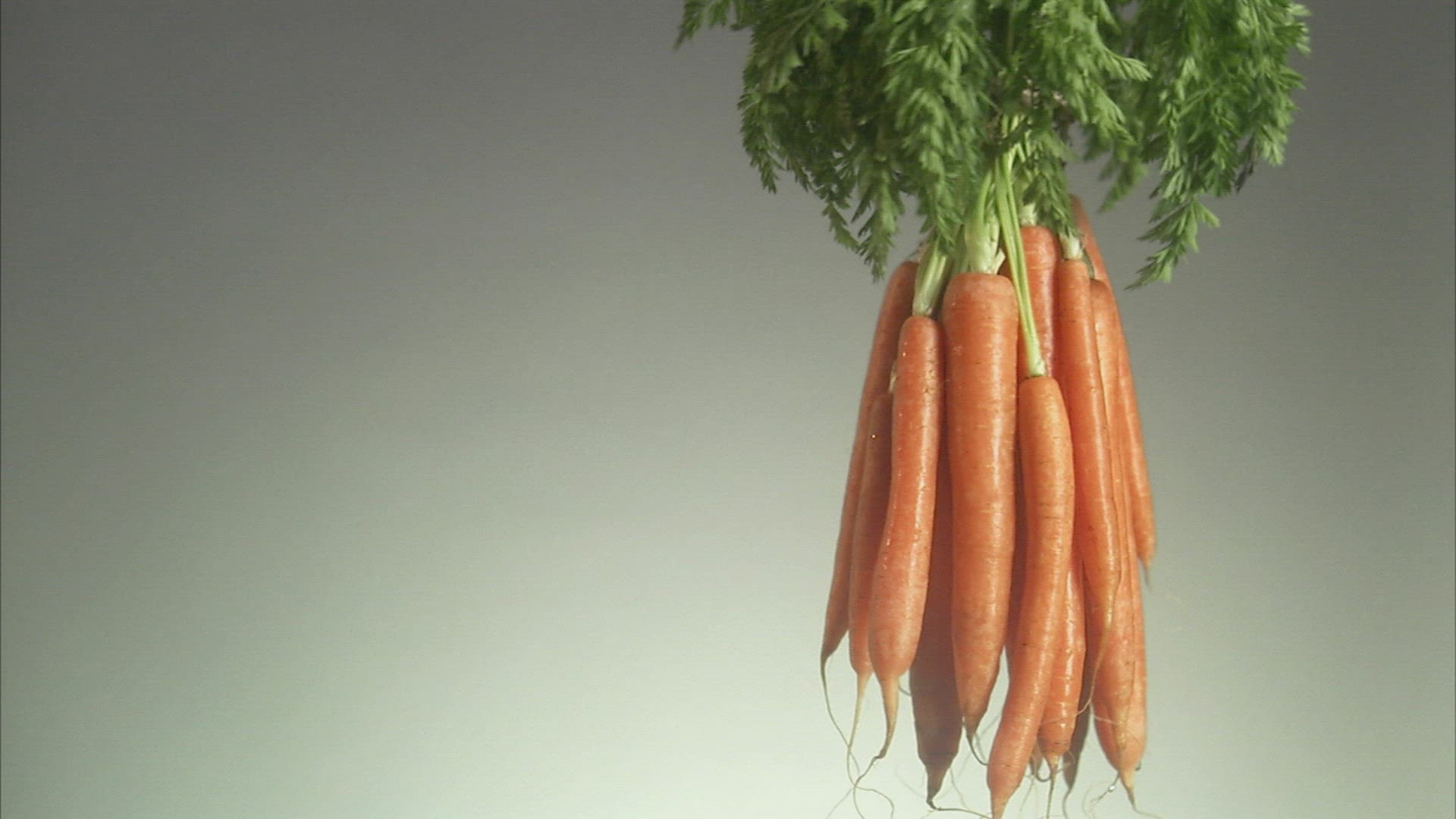 150524210 / Carrot / Vegetables / Food