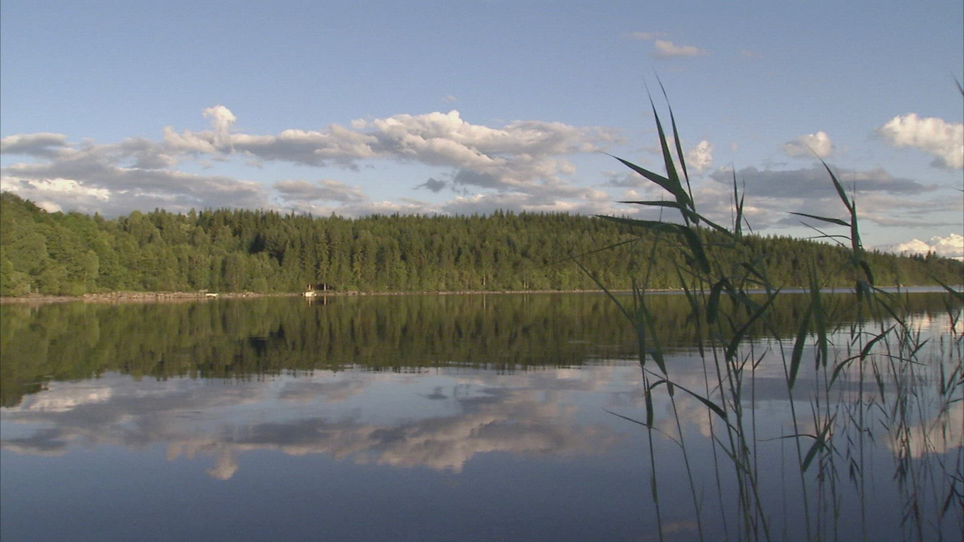 543739206 / Harmony / Calmness / Sweden