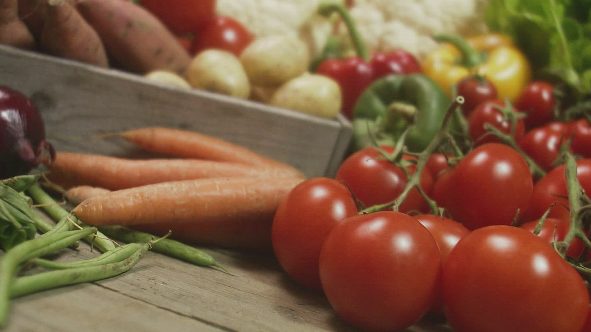 863671551 / Bean / Vegetables / Food