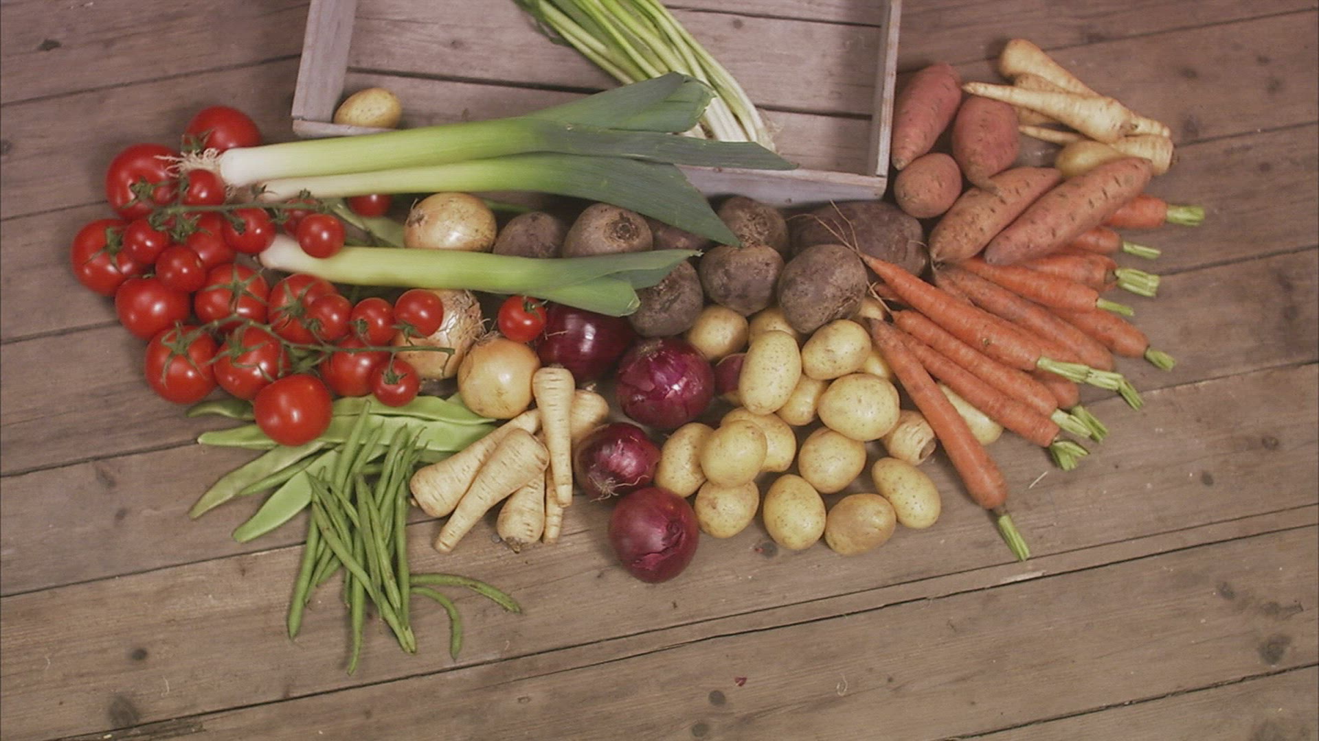 392771791 / People / Vegetables / Bean