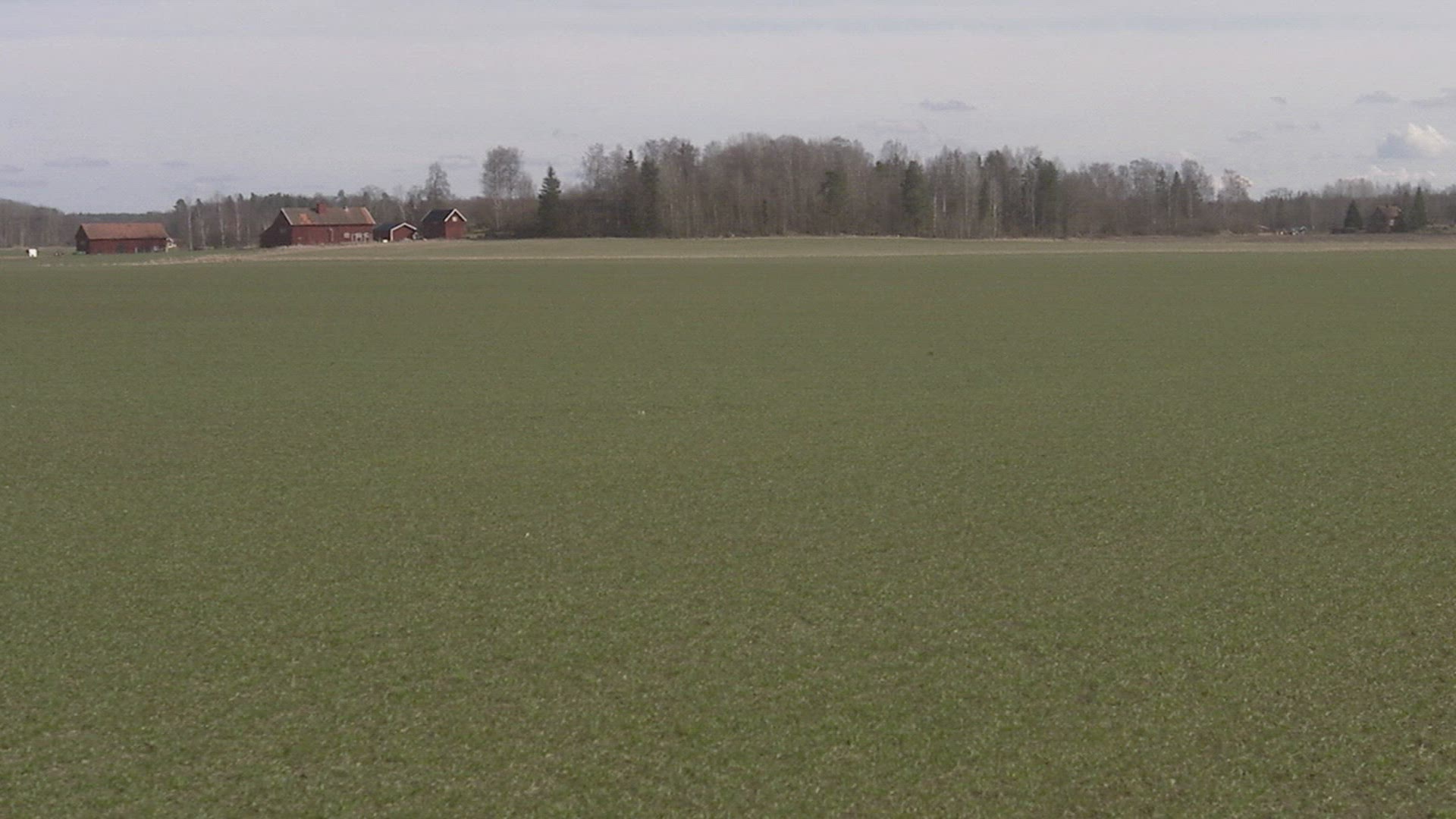 967588521 / Field / Earth / Sweden