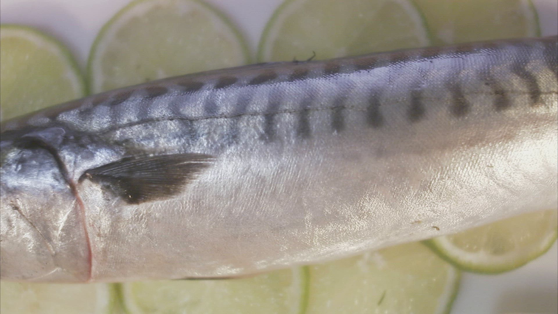 848662254 / Fish / Dishes / Sweden