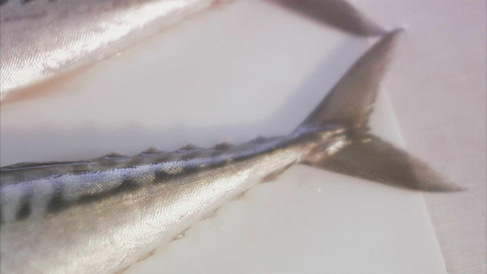 463287943 / Fish / Seafood / Sweden