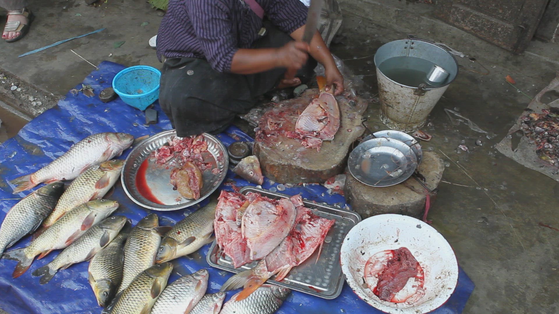 154569685 / Merchant / Fish Market / Myanmar