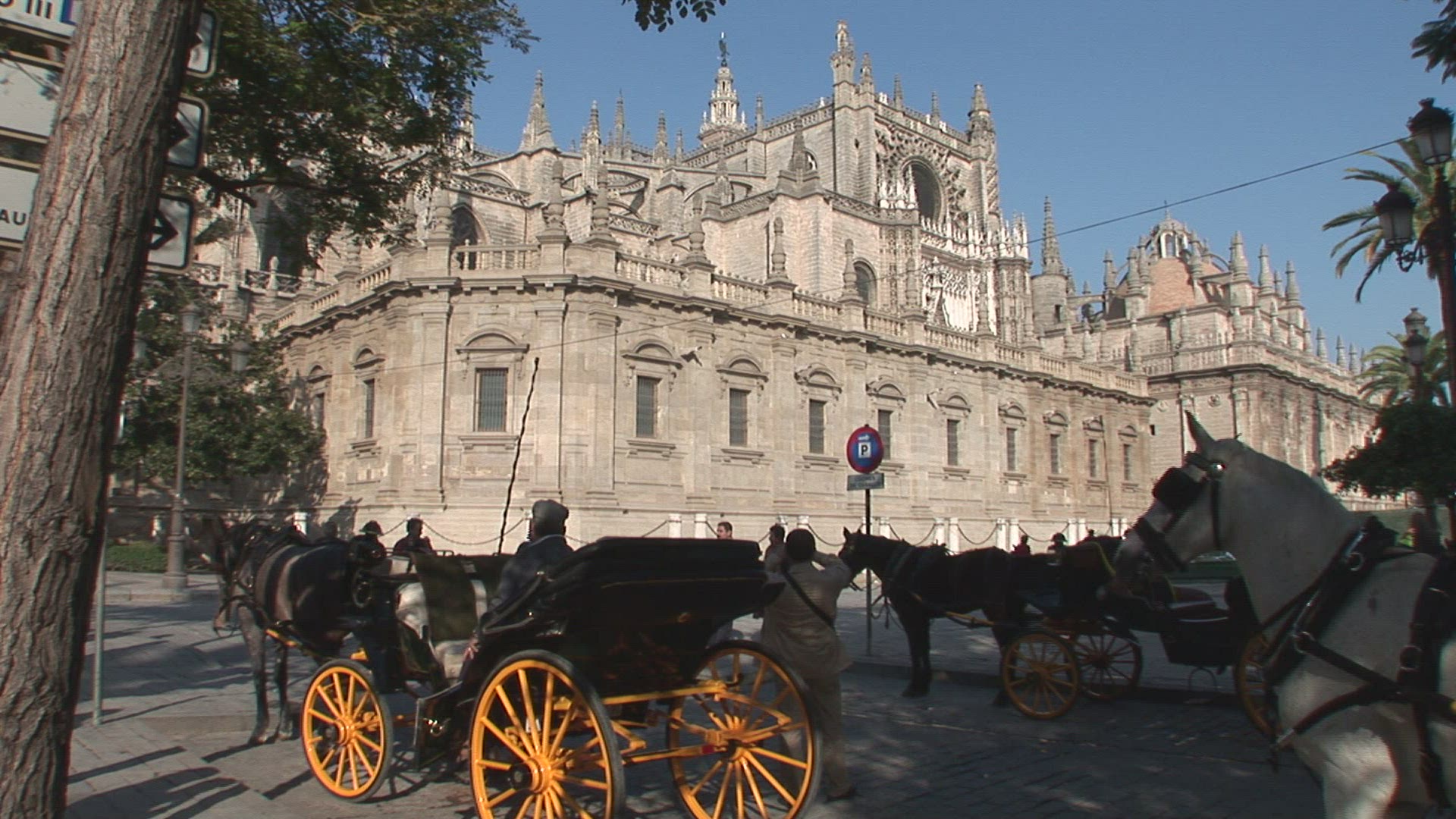 786514071 / Seville Cathedral / Cathedral / Seville / Spain