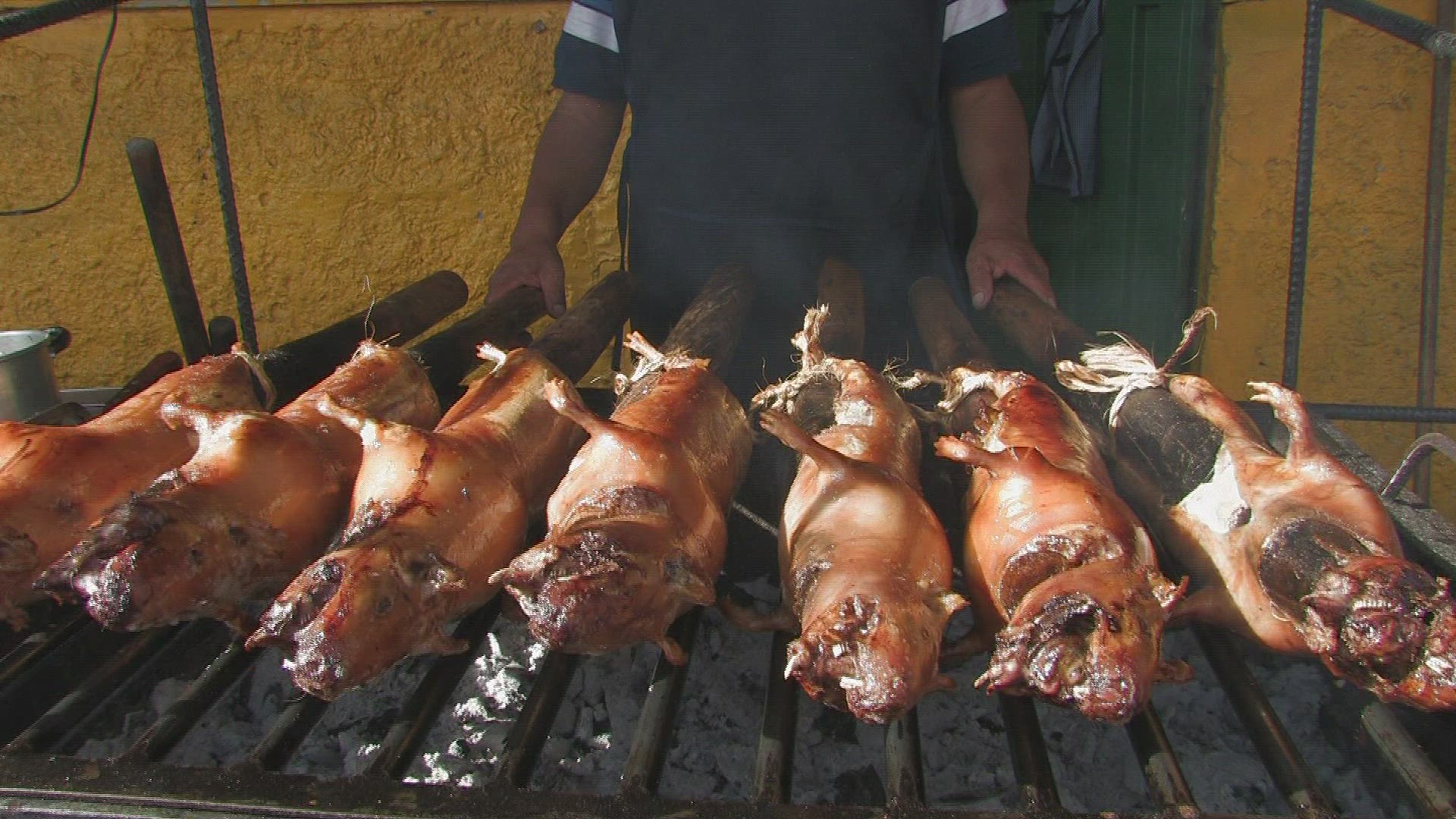 677557217 / Guinea Pig / Speciality / Grilling / Ecuador