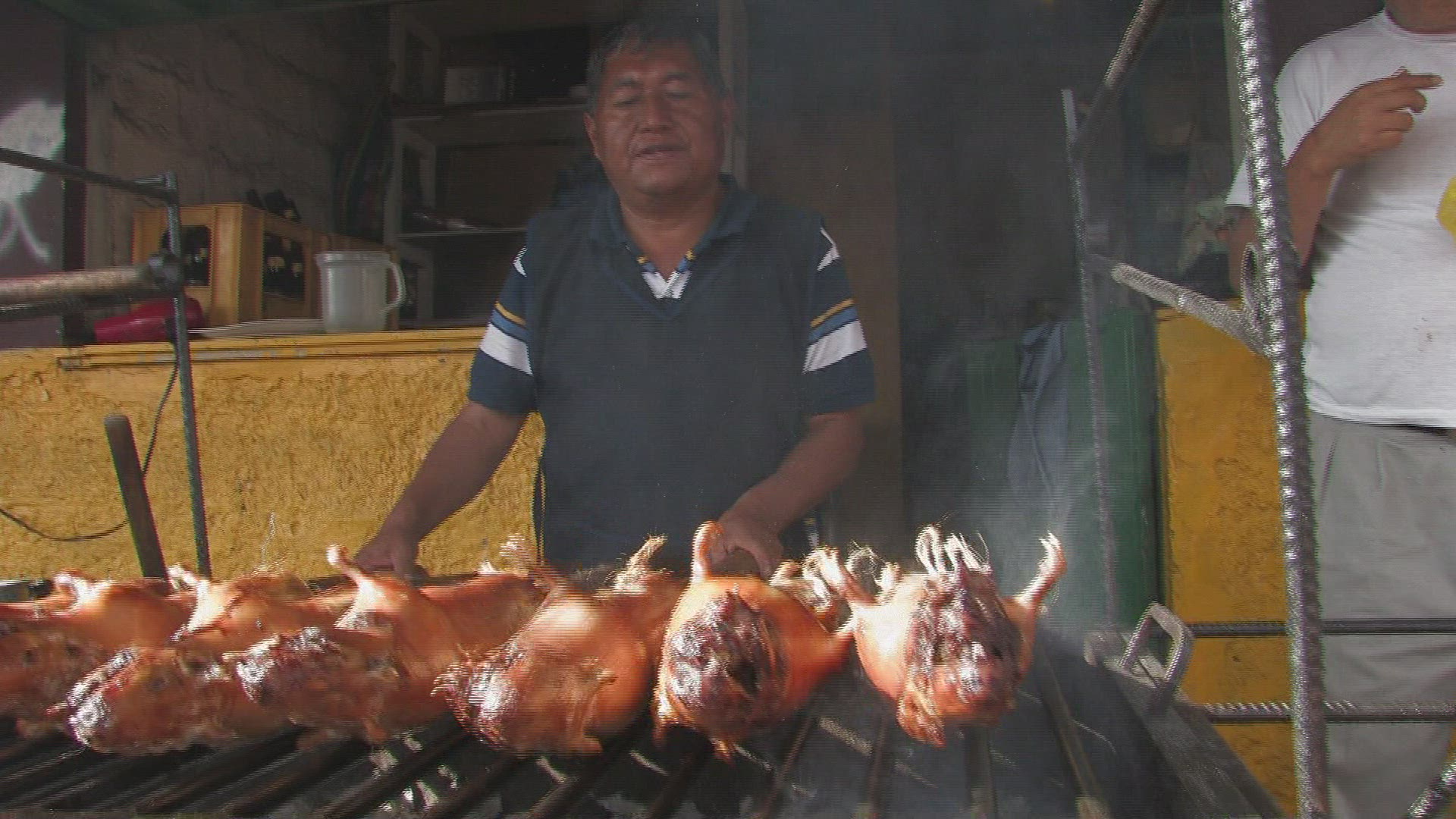 897175536 / Guinea Pig / Speciality / Grilling / Ecuador
