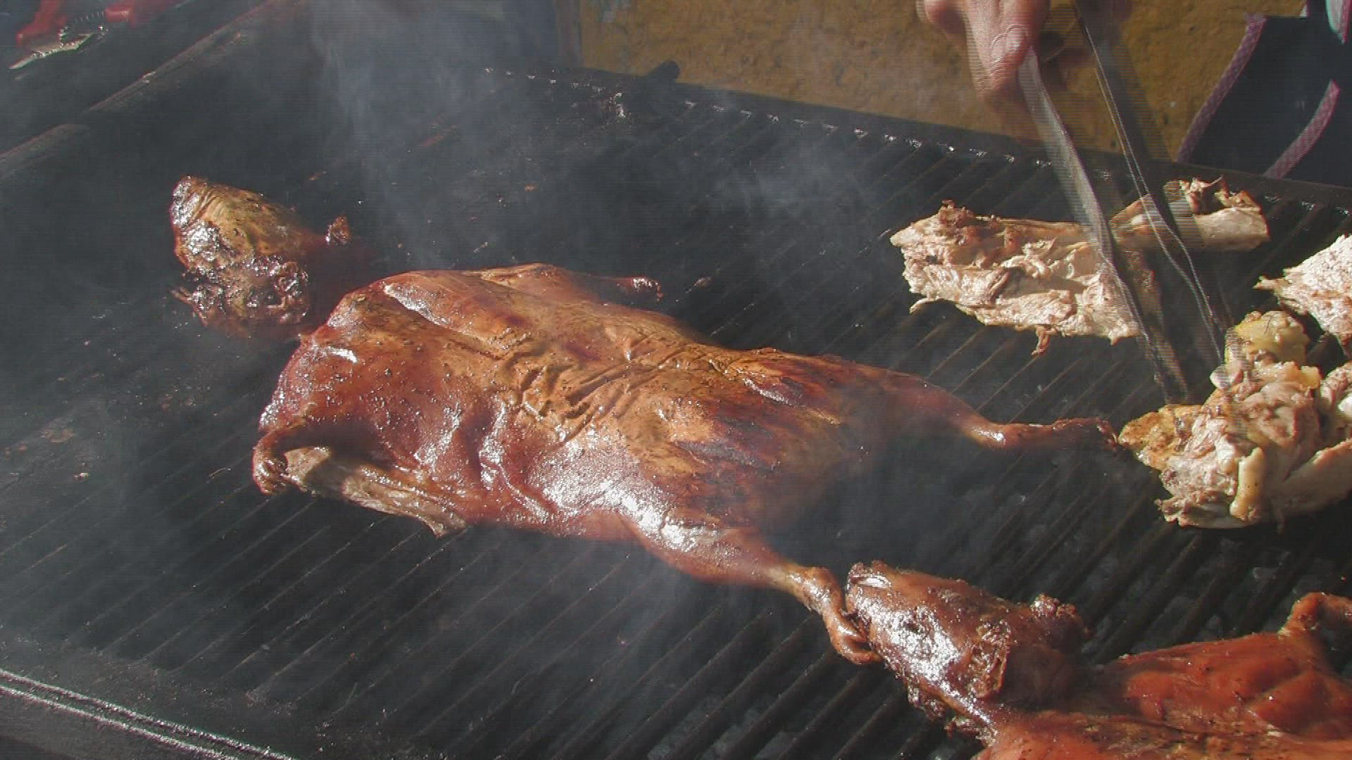 281690260 / Guinea Pig / Speciality / Grilling / Ecuador