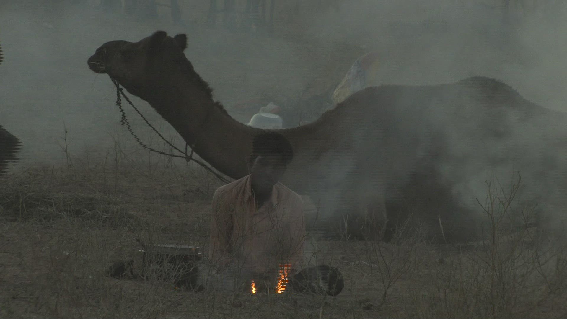 457442744 / People / Pushkar Fair / Rajasthan