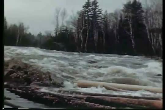 Interesting footage of logs being floated down a river in this 1930's era film.