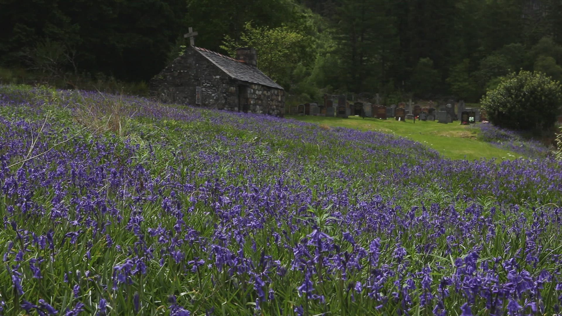 953402691 / Cemetery / Christianity / Argyll and Bute / Scotland