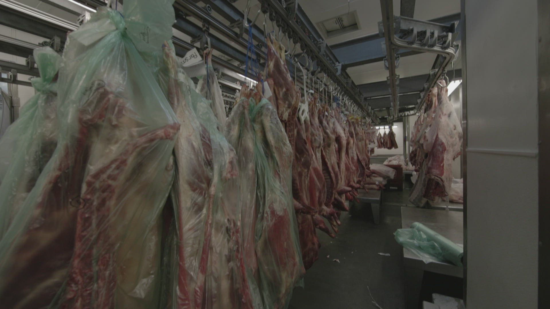 505320395 / Smithfield Market / Meat Market / London / England