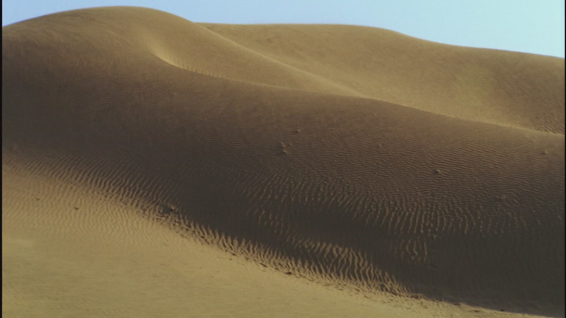 337306827 / Arid Climate / Dune Ridge / India