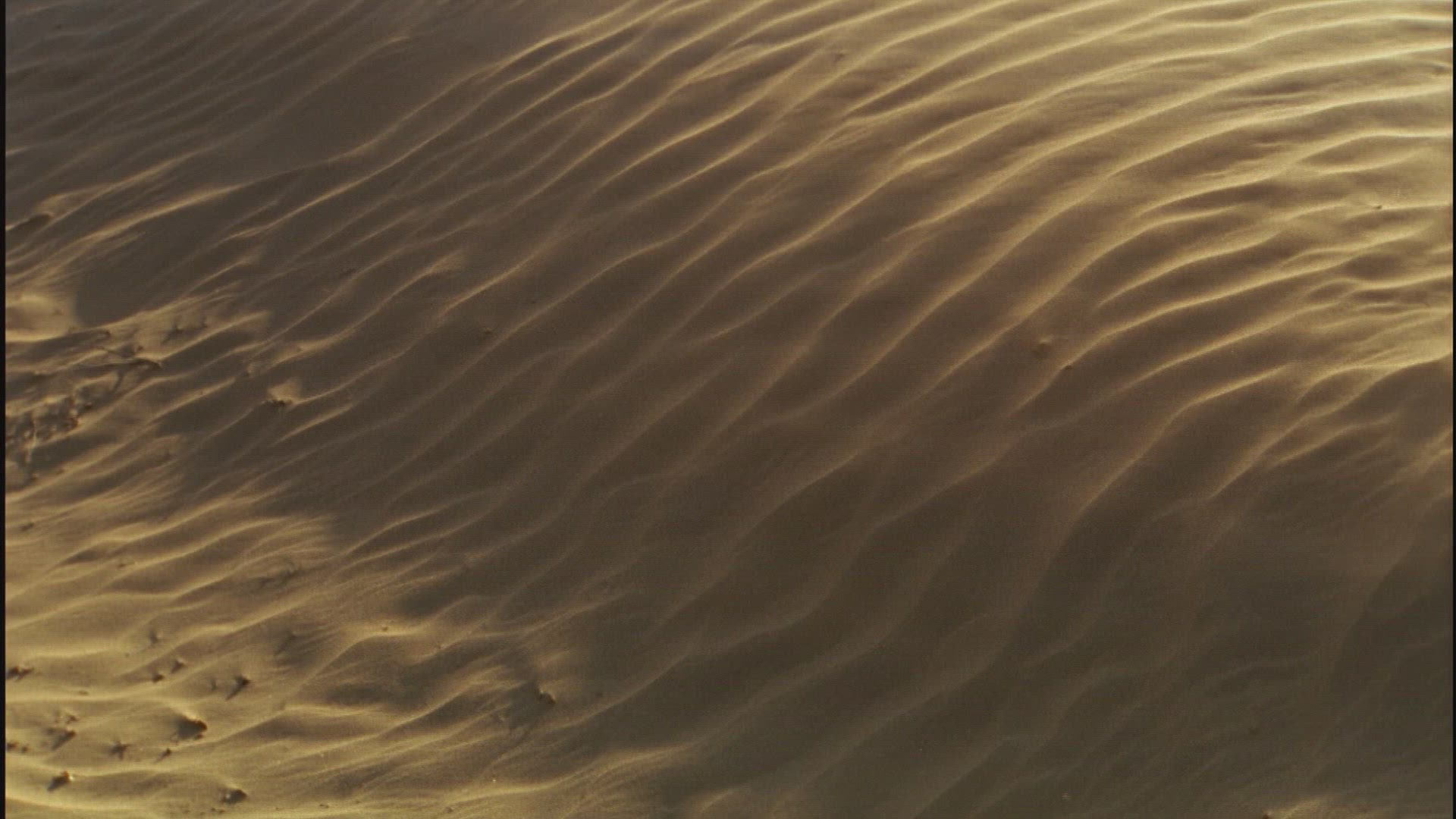 604171679 / Arid Climate / Dune Ridge / India