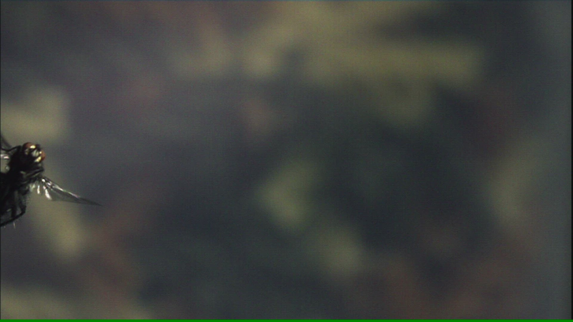 463862319 / Fly / Midair