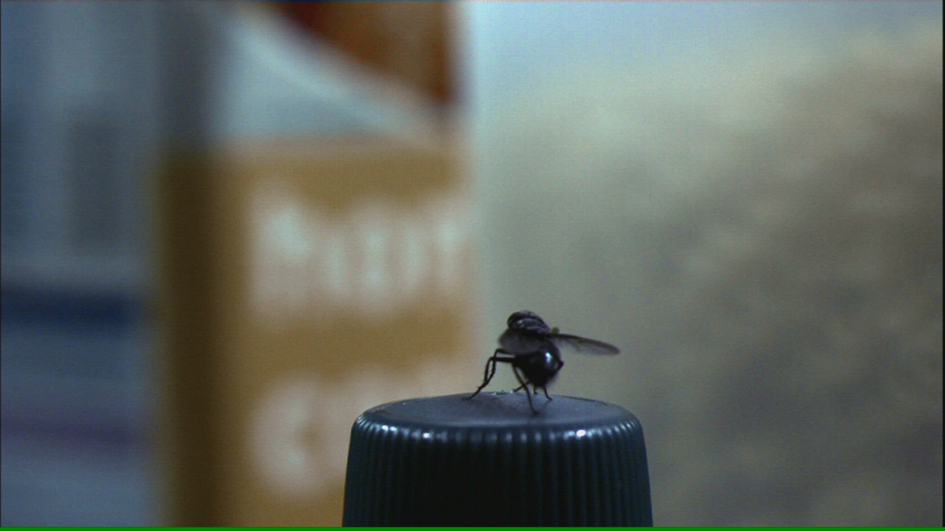 147191143 / Fly / Midair
