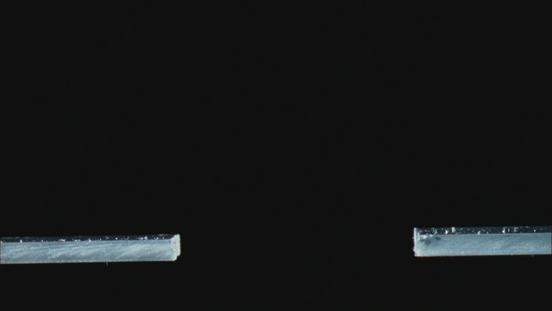 659258705 / Insect / Crawling