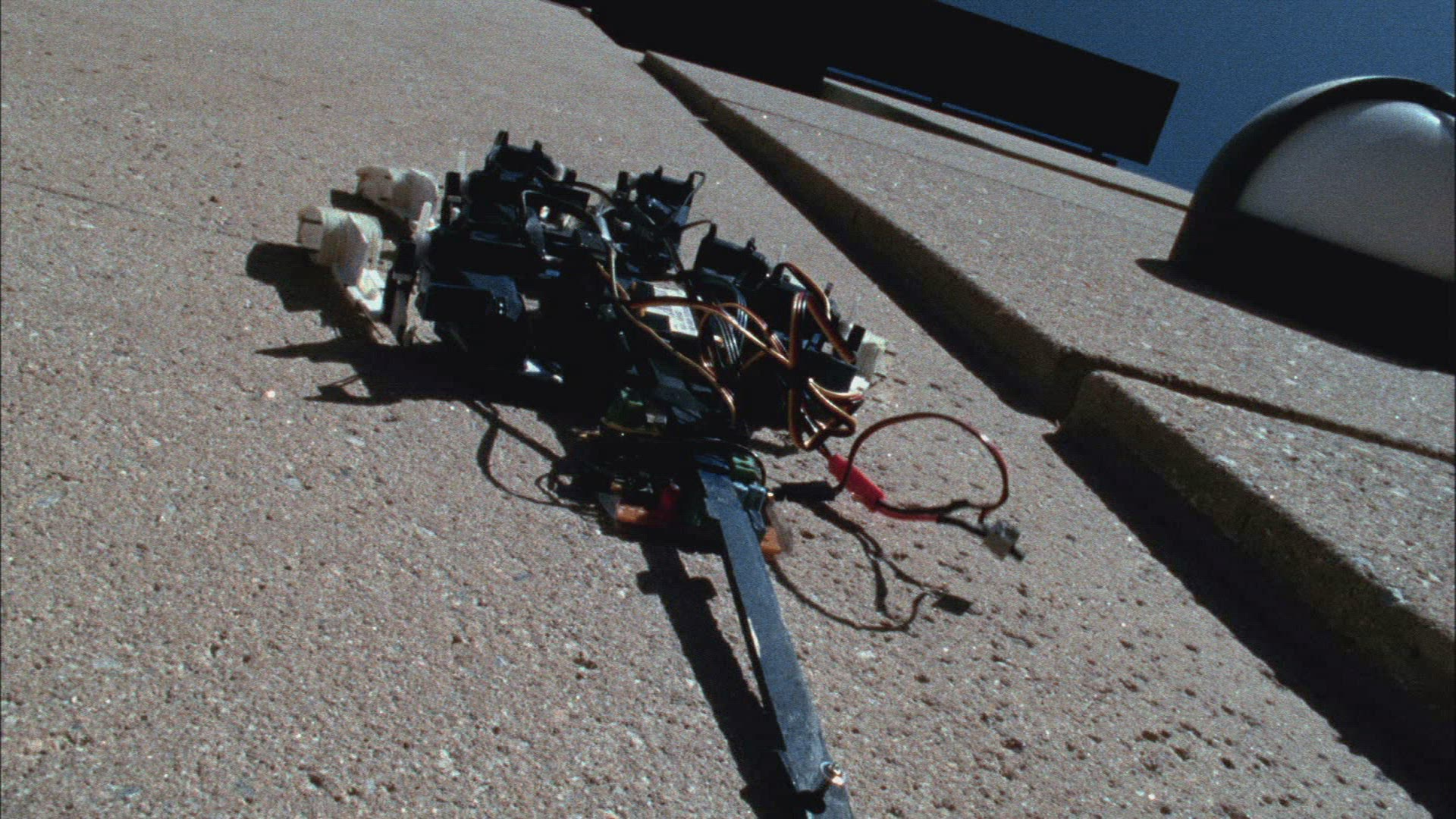 748113828 / Bionics / Robot / Climbing