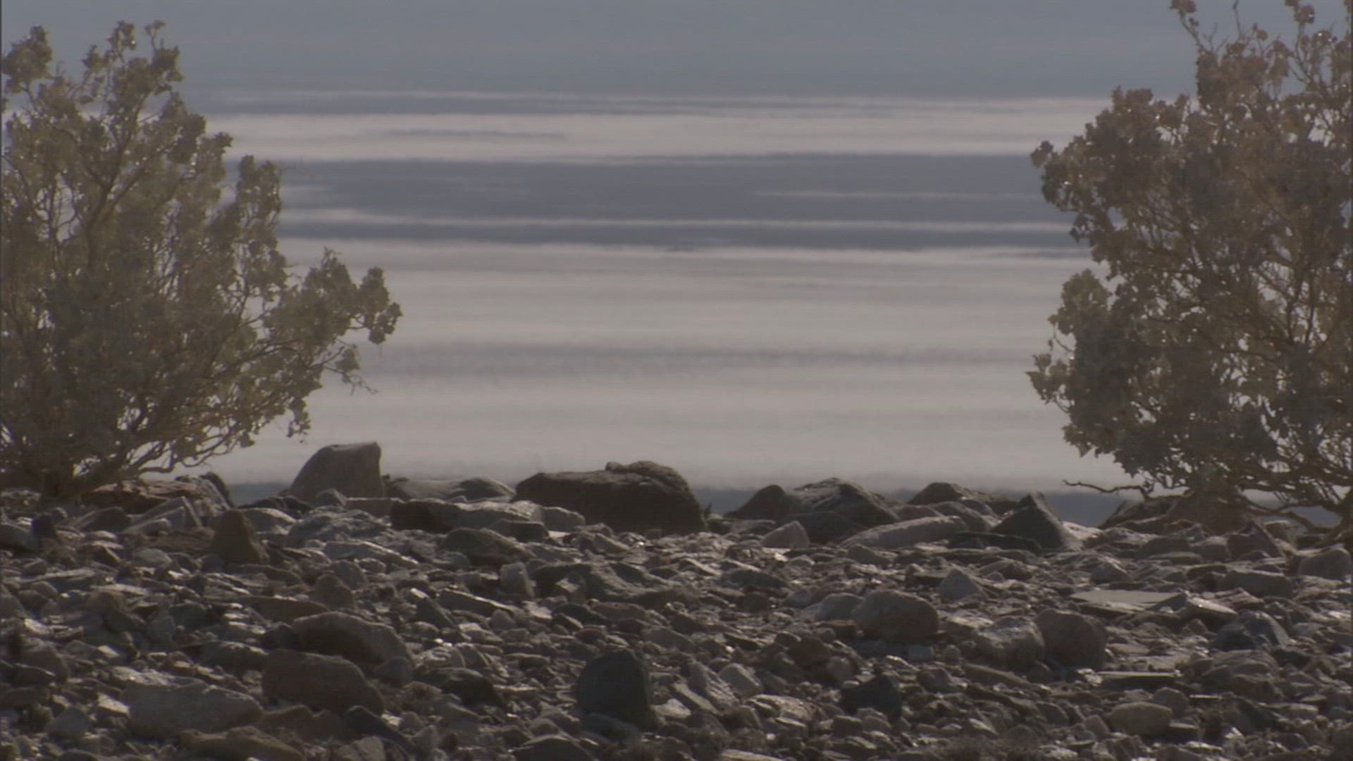 814149543 / Arid Climate / Death Valley / California