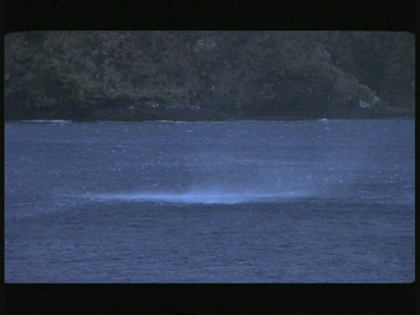 896434207 / Whirlwind / Pacific Ocean / New Zealand
