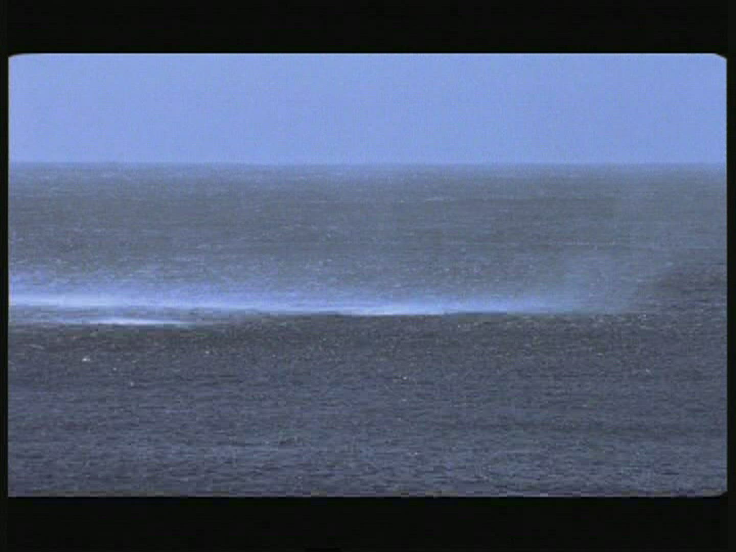 257768061 / Whirlwind / Pacific Ocean / New Zealand