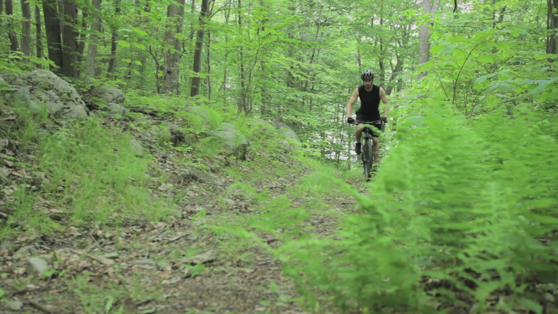 715279926 / People / Cycling / Forest