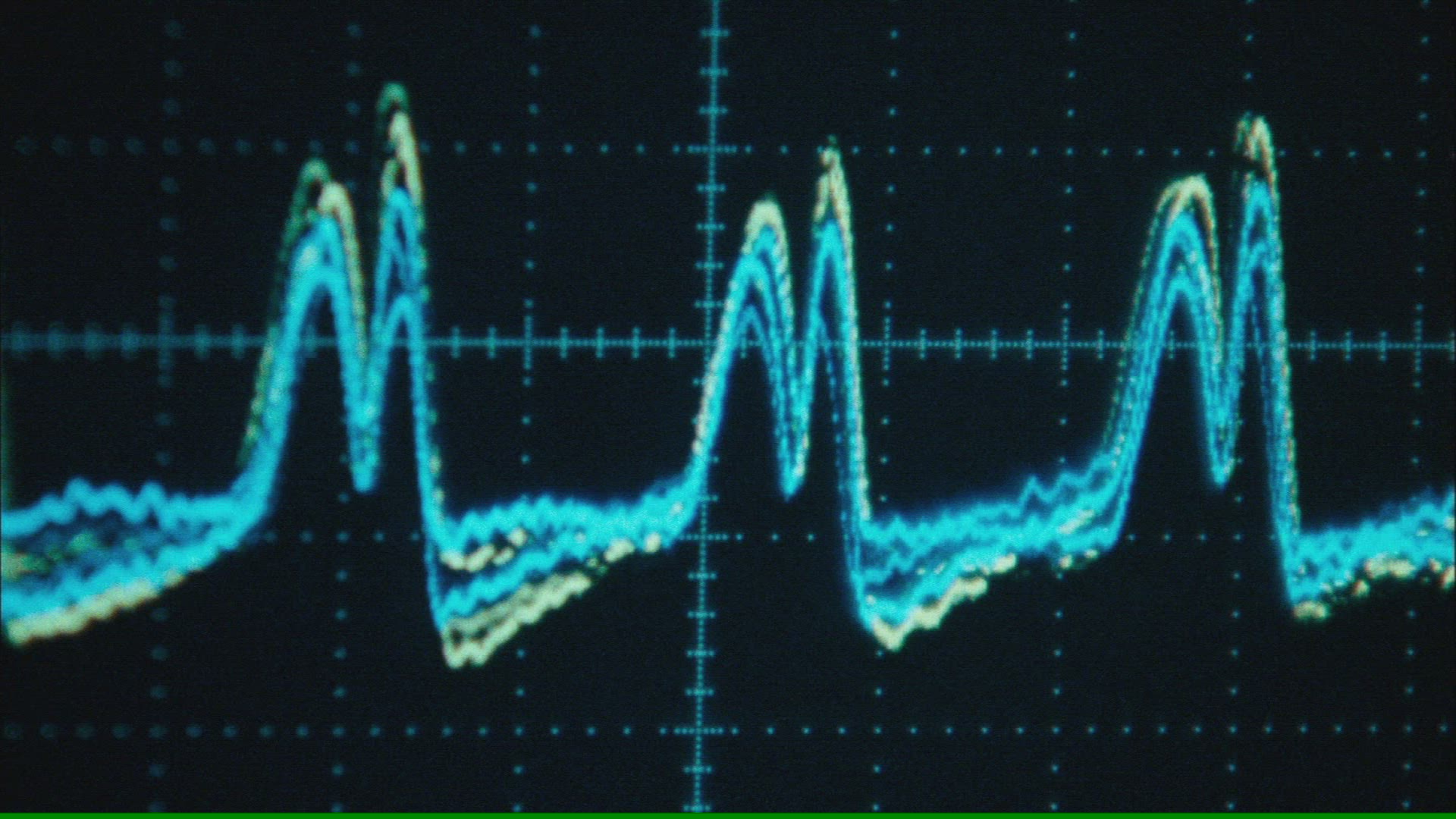 490859085 / Laboratory / Experiment / Simulation