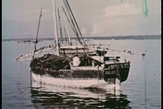 Tanzania and Zanzibar in the 1950s.