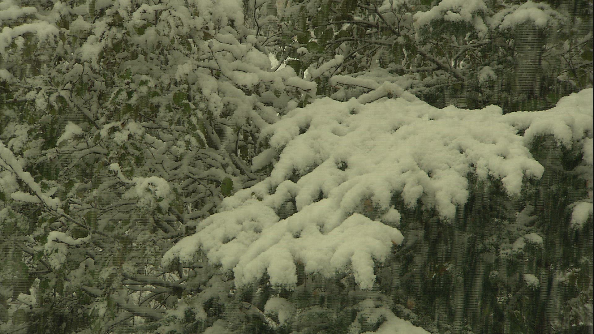 122276284 / Snowfall / Anchorage / USA