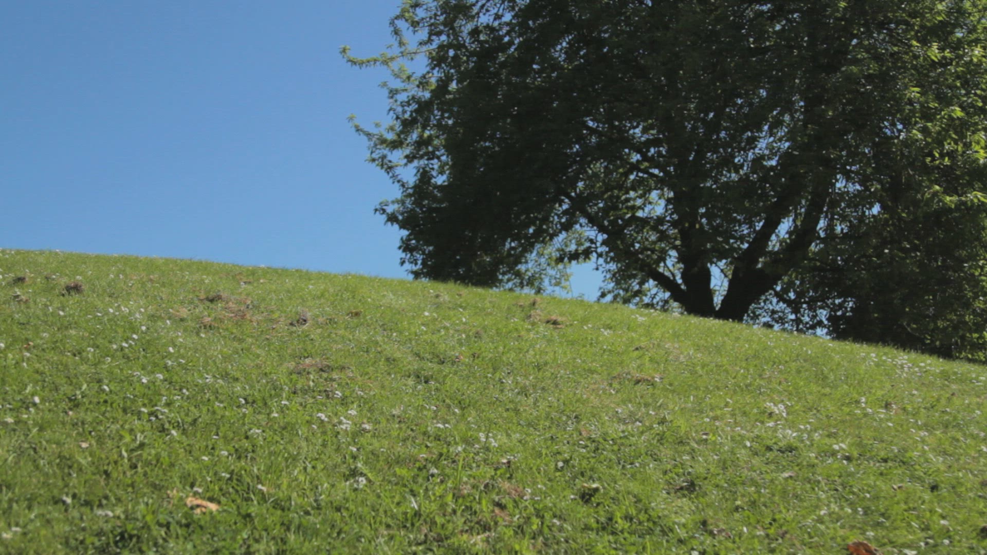 530530813 / Woman / Savouring / Park