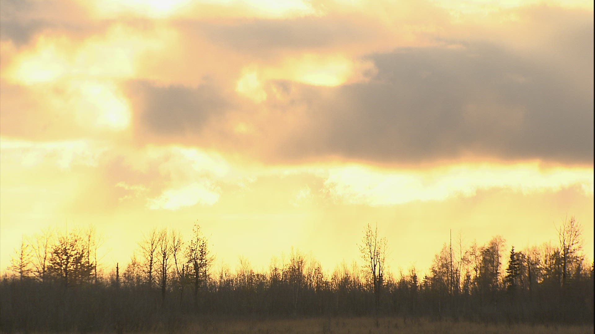 368724028 / Evening / Sunset / Anchorage
