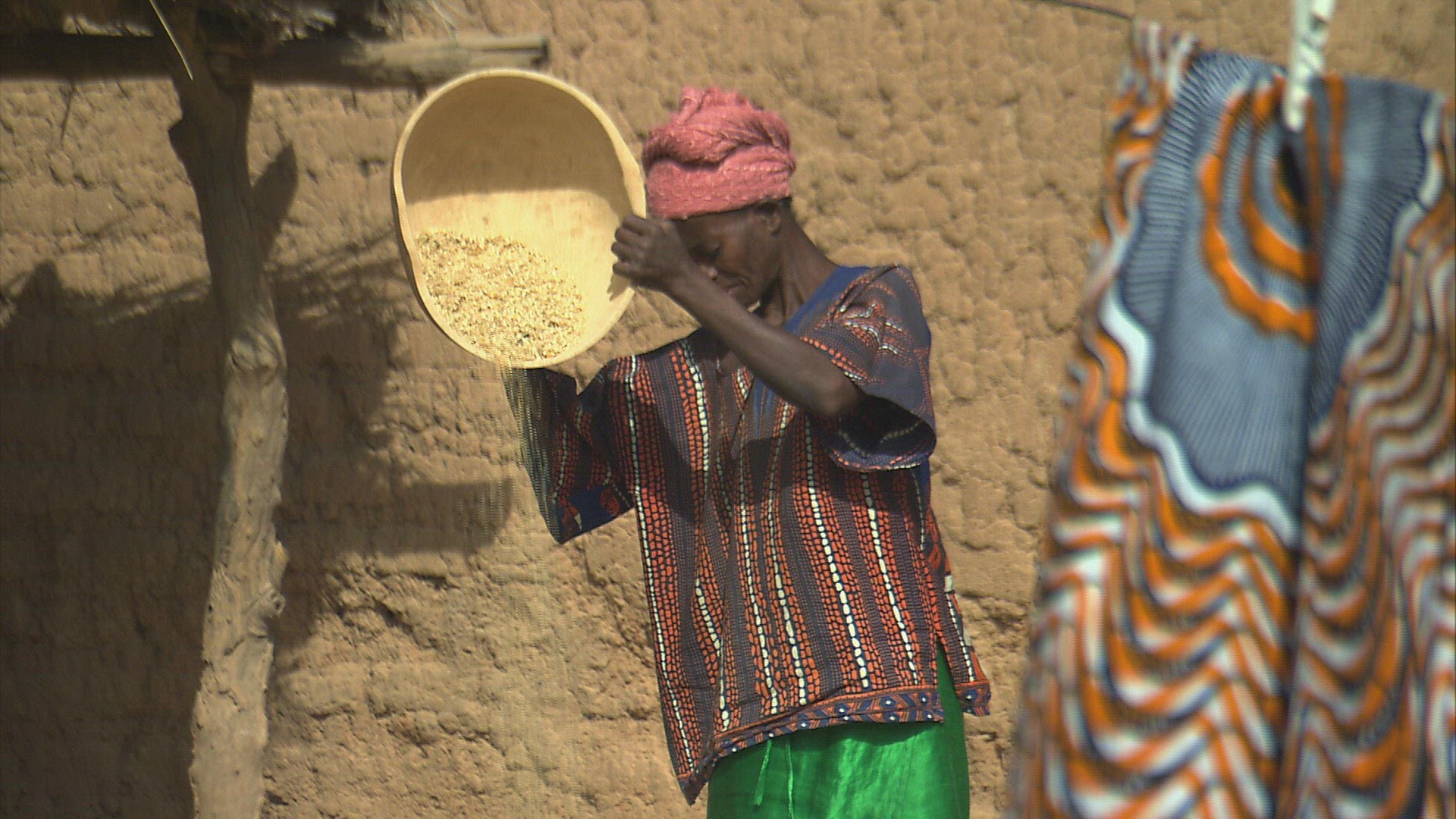 220243895 / Woman / Village Life / Mali