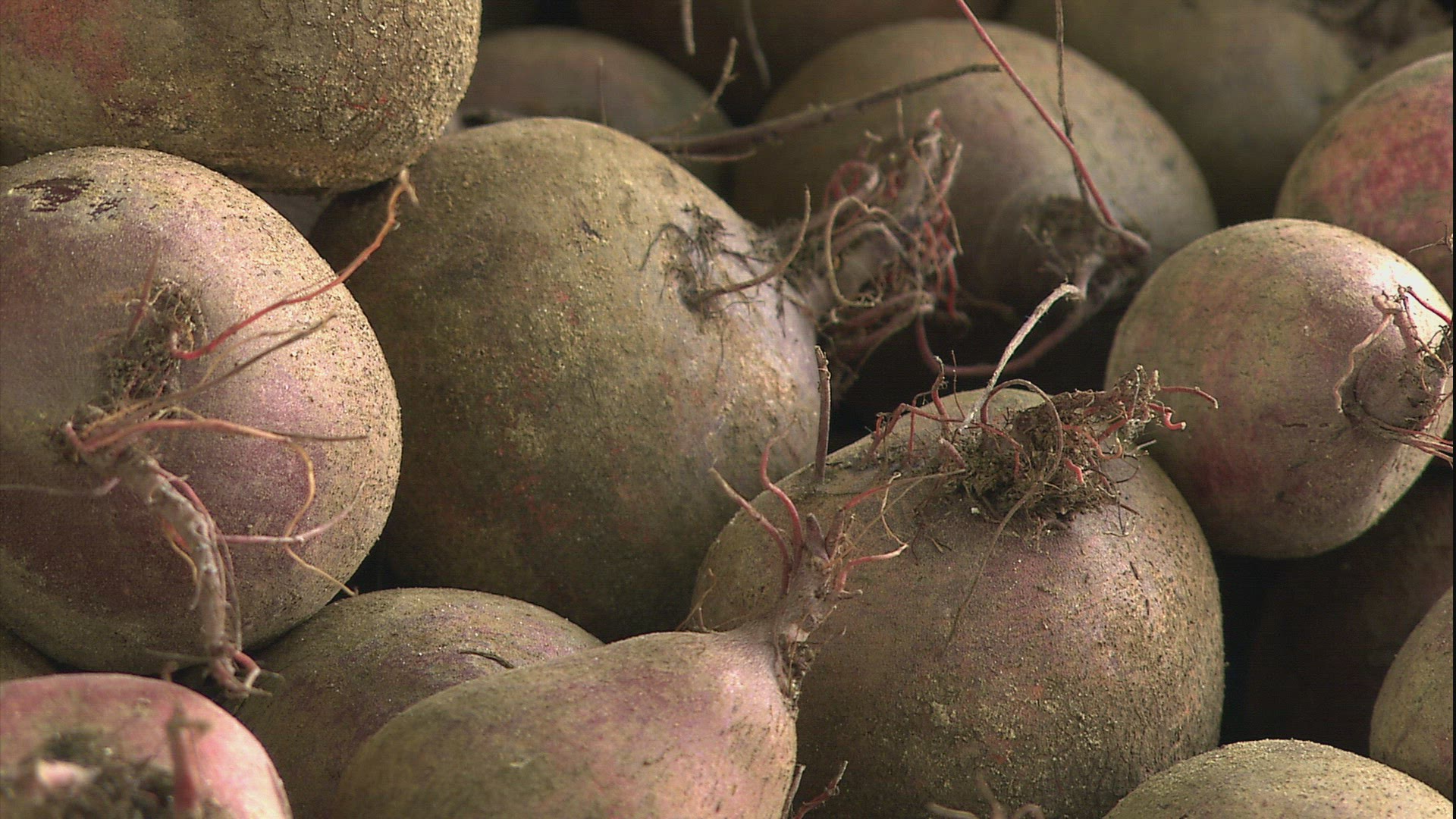625370643 / Vegetables / Fruit