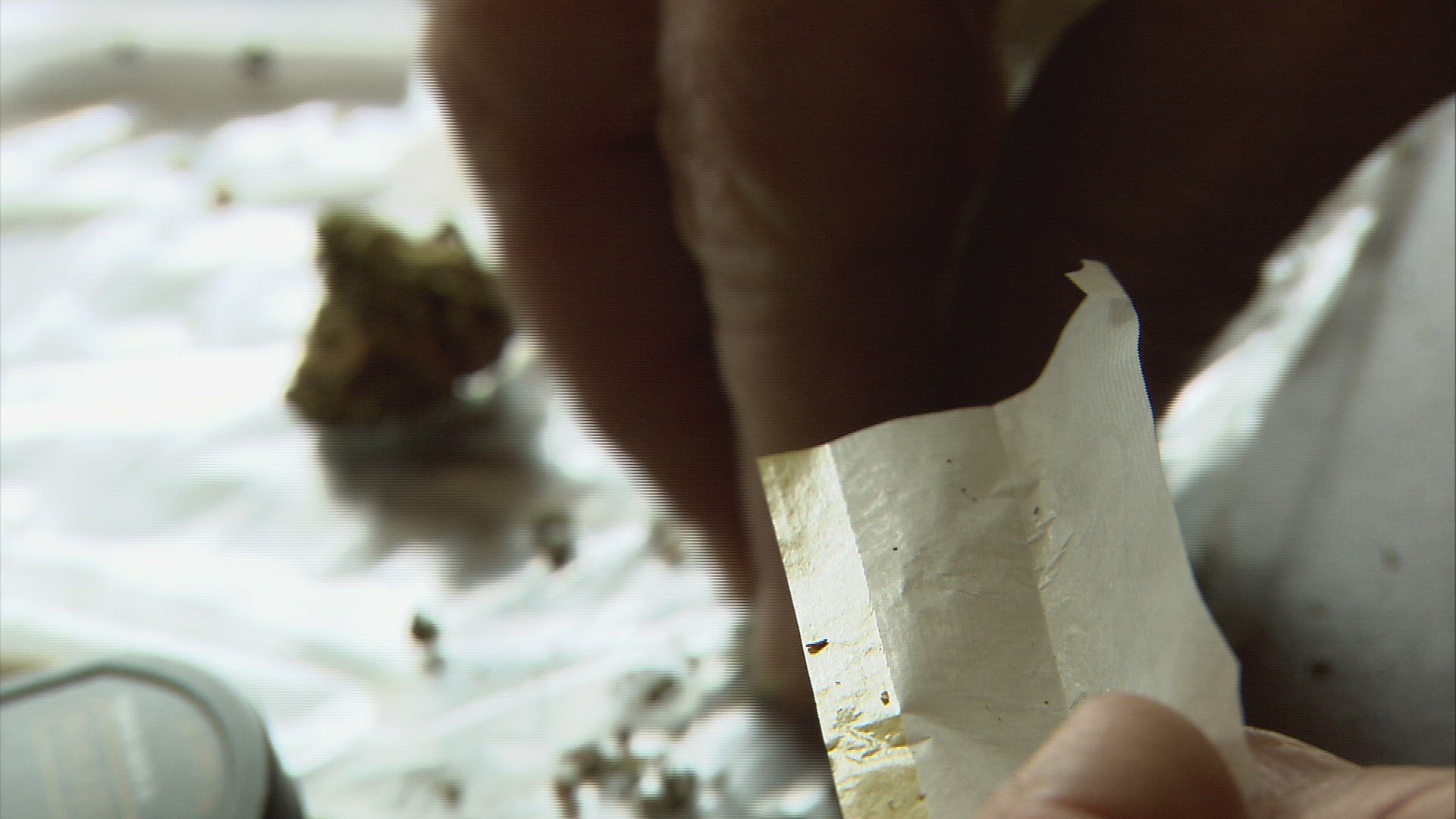 191069467 / Marihuana / Rolling a Joint