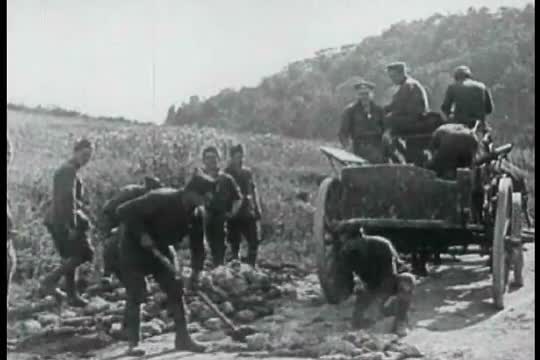 Supplies are brought to the front line during World War One.